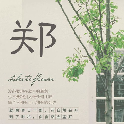 来换一个微信头像吧,招财进宝万事如意,好看签名头像请查收带走