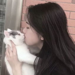 少女和喵,美得让人沦陷啊