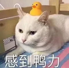 本科毕业即失业,考研又太难这篇文章适合所有的毕业党看一看
