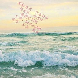 屏幕出现很多很多的白条为什么怎么处理