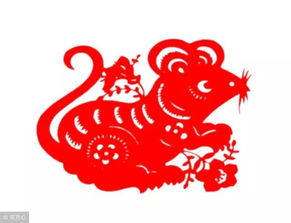 金鼠财雨已降到你家门口,点开就接三喜19年富的流油