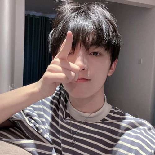 ins酷酷男头