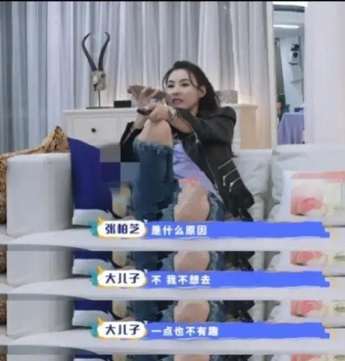 张柏芝去上海学校面试紧张,儿子出镜可爱,lucas带女孩回家了