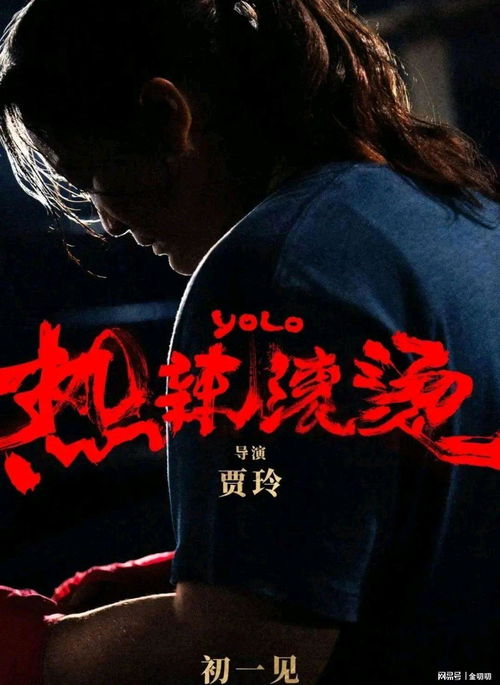 第二十条票房不及热辣滚烫一半,口碑却让贾玲笑不出来