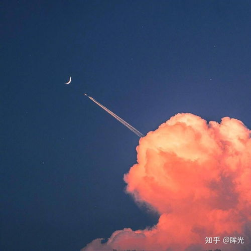星星会不会趁着人间的烟火坠落时,偷偷溜下来见想见的人.