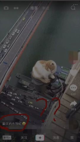 14岁少女直播怀孕生子虐待小动物为了红,快手抖音上的人已经疯了