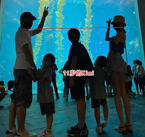 林志颖全家游海洋馆,kimi身高猛蹿变男子汉,陈若仪美腿身材似少女