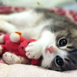 宇你走过的时光的美拍