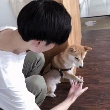 女头像ins高级感真人宋知意
