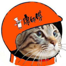 眉头一皱,发现事情并不简单,商业头盔表情包已经到账了,请速速查收