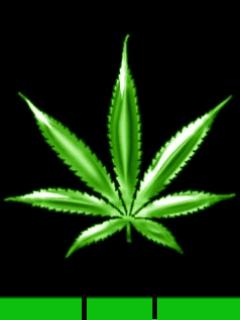 急求一张绿色qq头像看下图
