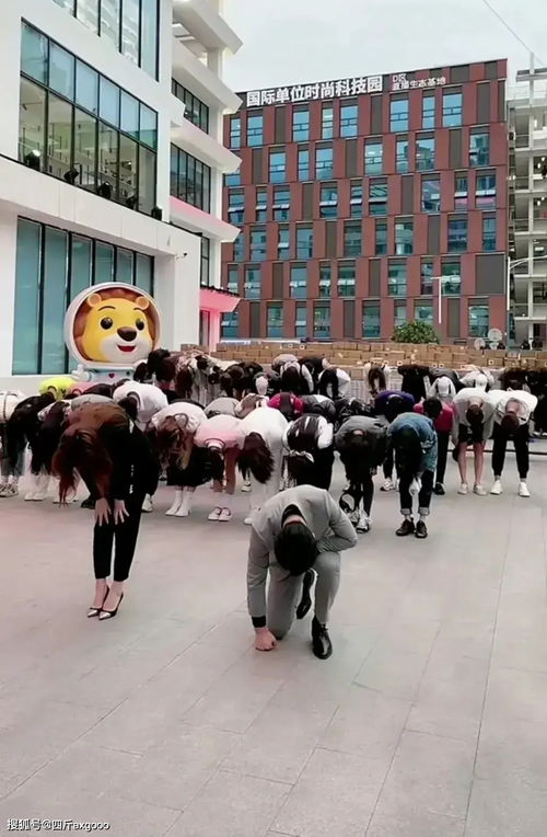 网红辛巴高调宣布回归,三天涨粉近千万,农民的儿子你还爱么