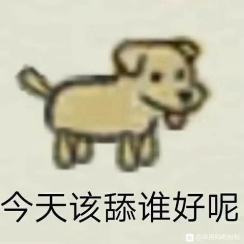 好看的抖音头像女幽默笑话