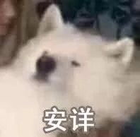 下载完抖音以后,我没再完整地看过一部电影