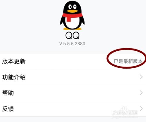 2016最新版的qq空间动态中赏红包功能介绍