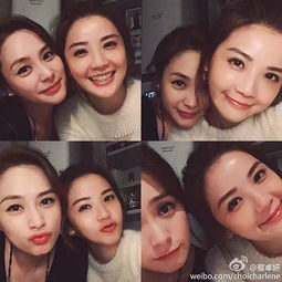 闺蜜重聚2018跨年最期待姐妹花再度同台