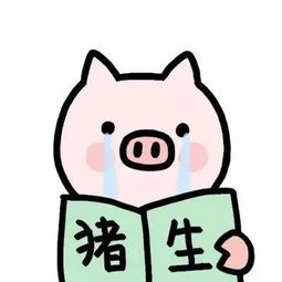 2019猪猪头像和壁纸,第一张就想保存