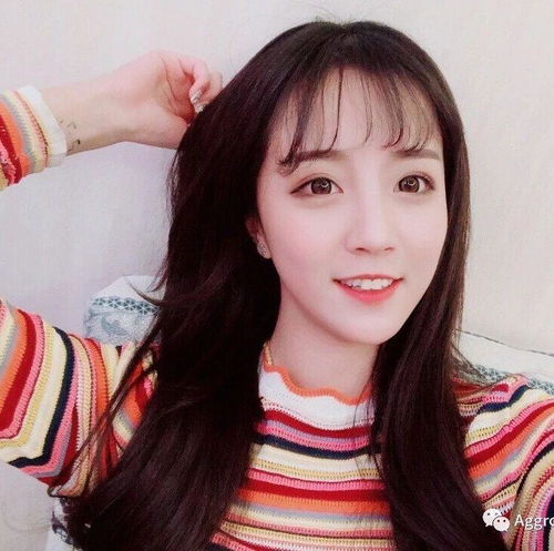 比温婉莉哥还火的抖音大神竟是两只猫点赞量是莉哥的10倍