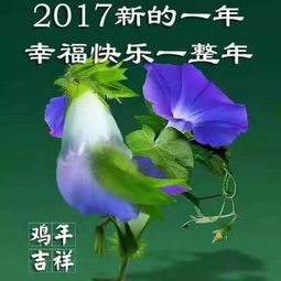 适合学佛人的微信头像福报