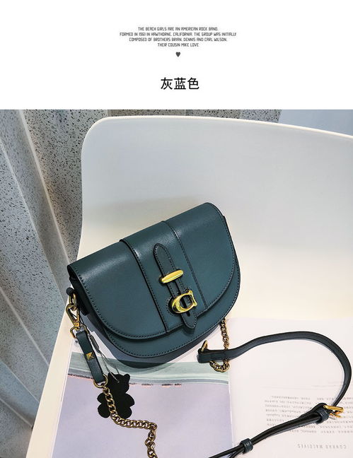 小童马2019秋季上新真皮高级质感ins风超火斜挎包复古单肩半圆马鞍包女c