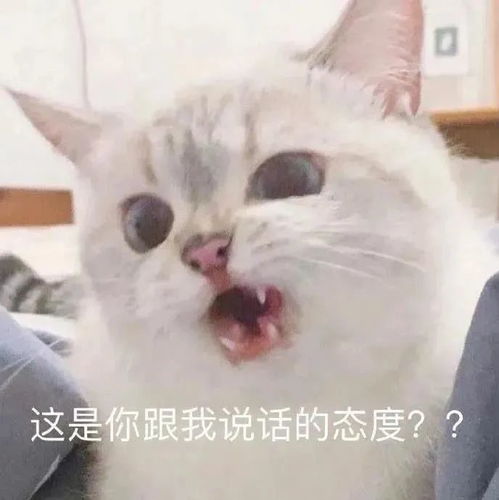 有内鬼,赶快收图