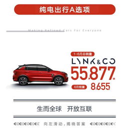 吉利汽车蝉联2019年上半年中国汽车品牌销量冠军