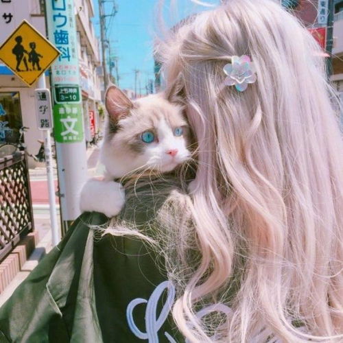 快手搞笑医生头像猫妹妹