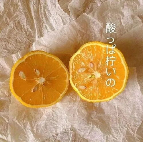 让人意难平的歌词文案