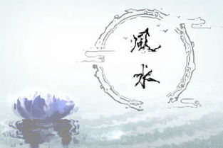 极贵面相,这种眉型的男人大富大贵