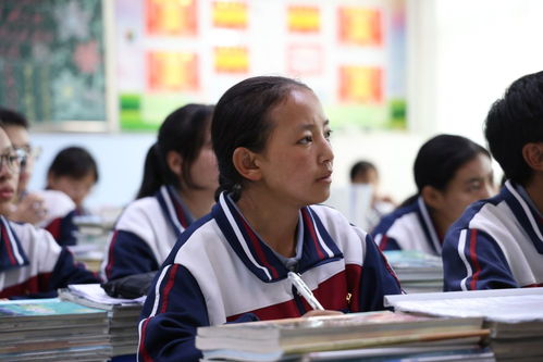 中国西藏网