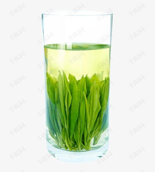 一杯绿茶素材图片免费下载高清png千库网图片编号8430930