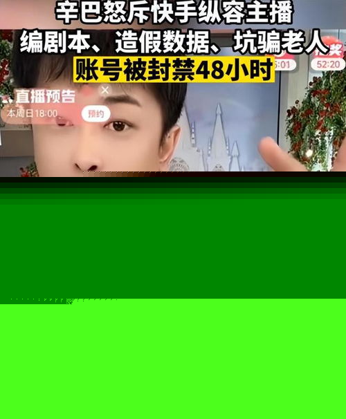 吃完饭砸锅农民儿子辛巴怒斥快手,编剧本,造假数据,骗老人网红小仙女四川可乐快手软体动画产业公司网易订阅