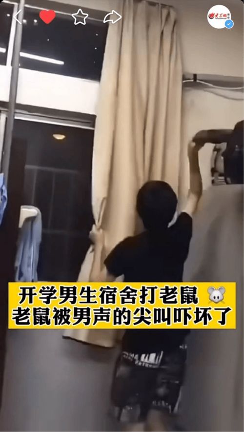 幼儿组少年组青年组齐聚快手,看多样开学新姿态