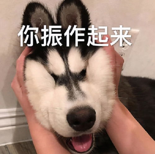 当教育内卷化被搬到了台前后,教育减负又将何去何从