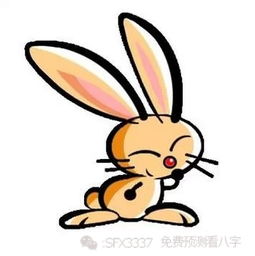 2017年那些生肖好运连连