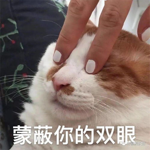 抖音3大神颜帅哥照骗术被扒,5分钟换头震惊全网