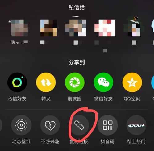 价值349元的视频去水印工具,用它搬运抖音快手,你也能成大v