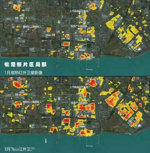 临港这次真的放大招魔都顶尖自然环境,神秘旅游路线即将启动,想在这买房