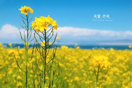 你所遇到的一切,本无什么意义,不过是自己赋予的