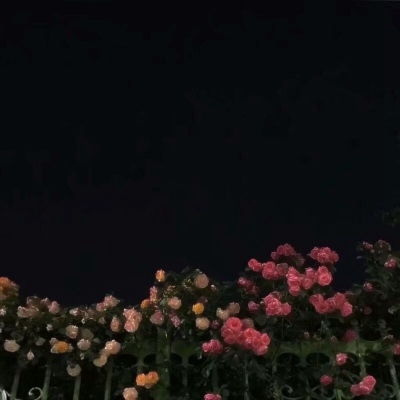 微信头像图片2021最新款花朵