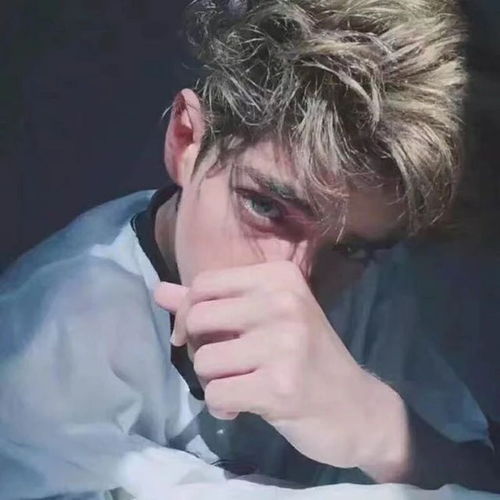 这些小哥哥是谁求告知