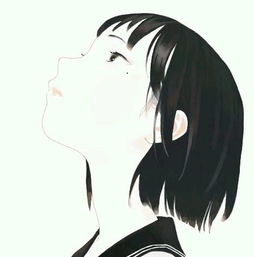 disepap关注的设计师zcool