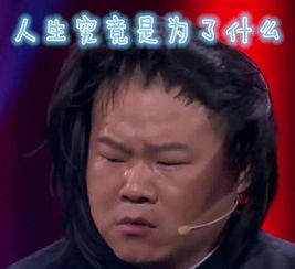 表情包岳云鹏为五个姐姐买五所房子