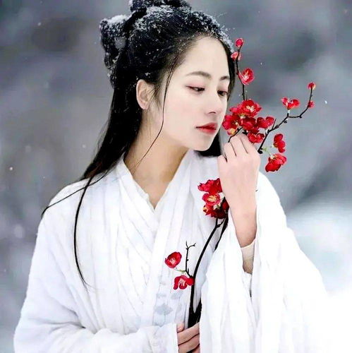 影像中国摄影网各群优秀作品展示2020年12月份23群优秀作品