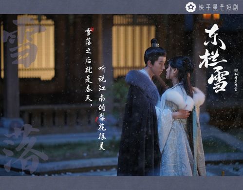 东栏雪收官播放破5亿,快手坐稳古风微短剧第一厂牌