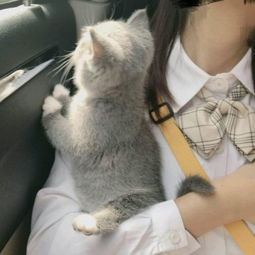 快手年度高清女生系列大图