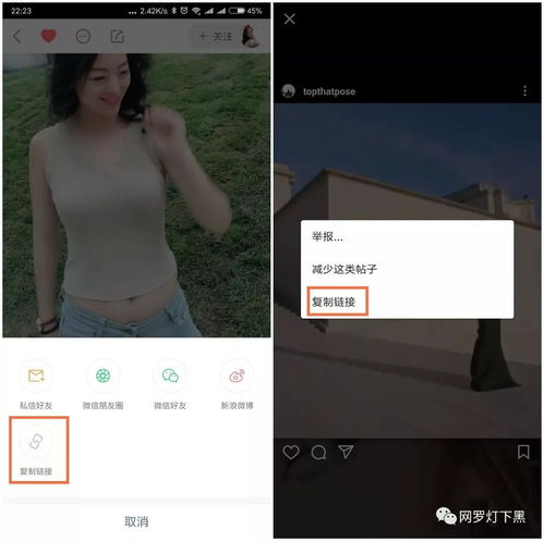 全网短视频万能下载神器不只是抖音汤不热