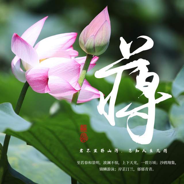 荷花美景姓氏签名头像,诗情画意意境优美,送给有缘的你