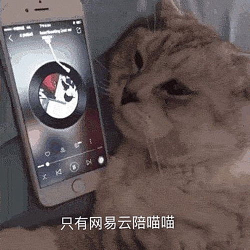 网易云要让网抑云成为网愈云