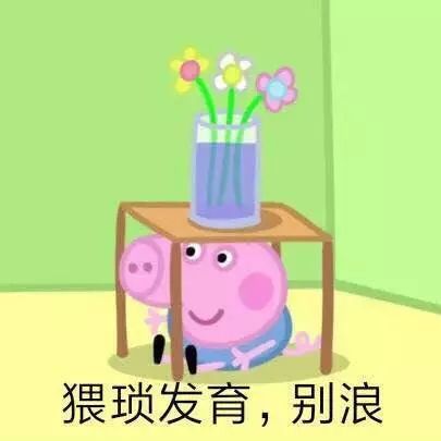 快手头像男生社会人小猪佩奇